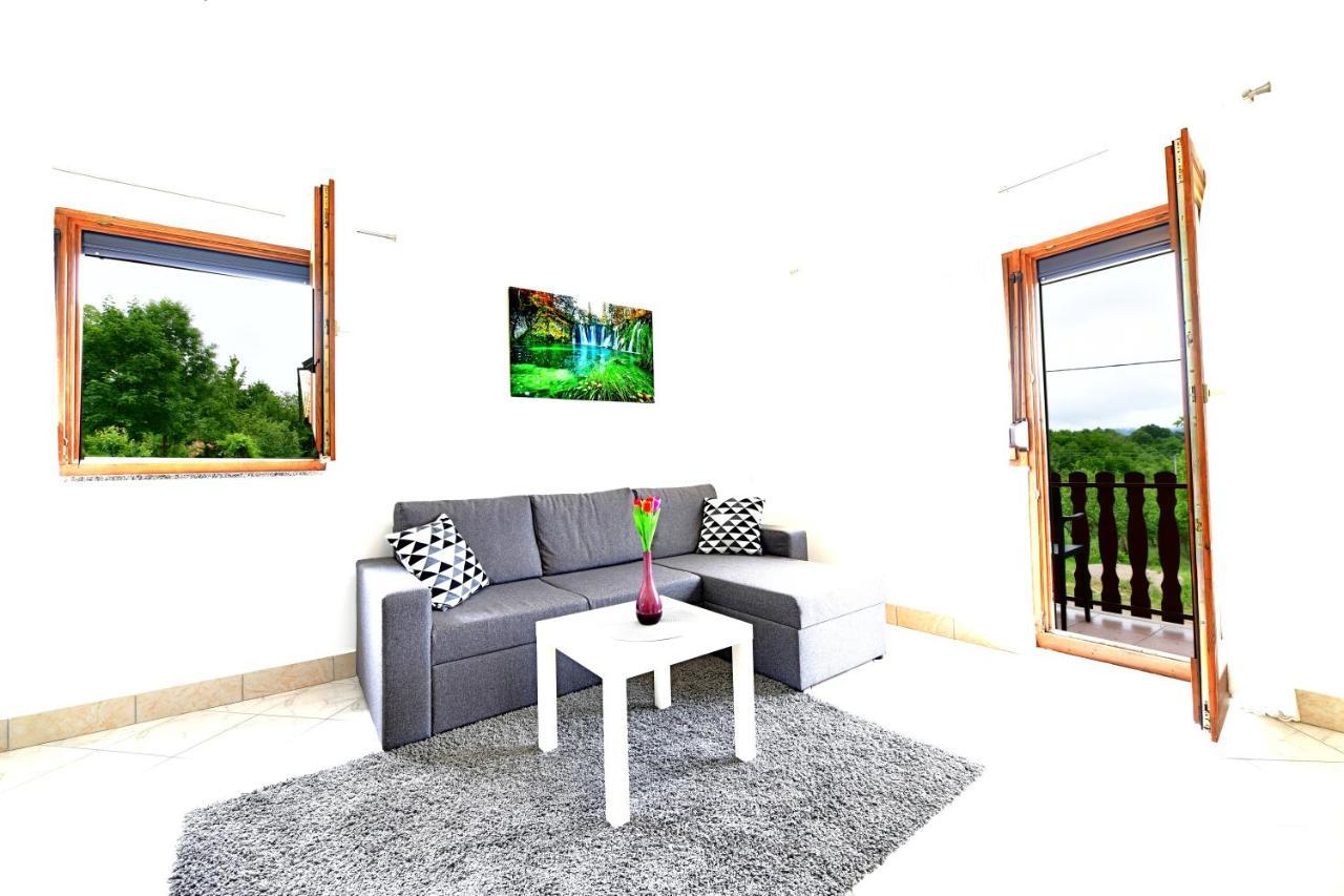 Apartman Mate 라코비카 외부 사진